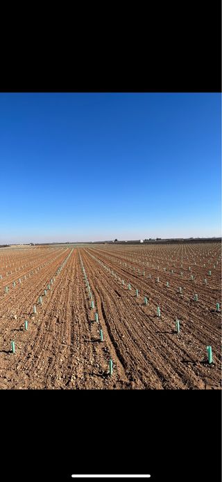 trabajos agricolas 