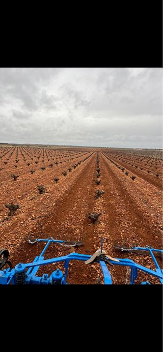 trabajos agricolas 