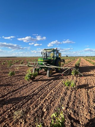 Servicios agricolas en Tomelloso