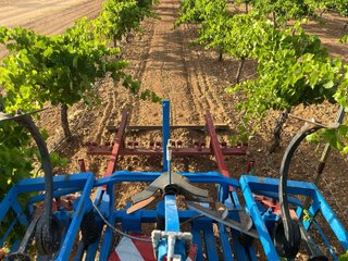 Servicios agricolas en Tomelloso