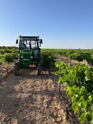 Servicios agricolas en Tomelloso