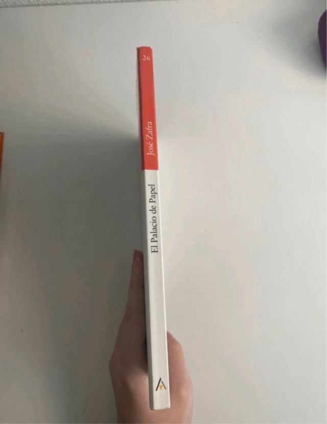 El Palacio de Papel (Sopa de libros: Serie Nara...