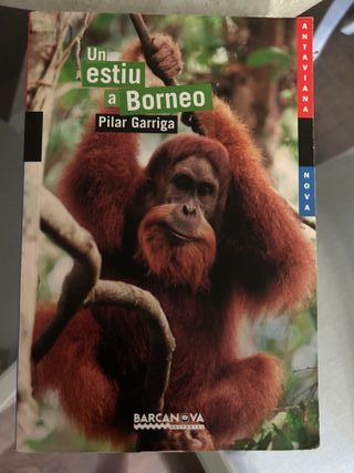 Un estiu a Borneo (Antaviana Blava) (Catalan Ed...