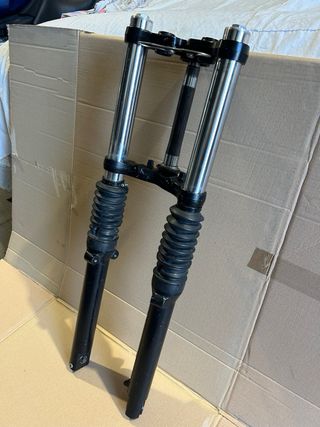 Forcella Completa Triumph Scrambler 900