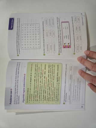 Reglas ortográficas de peto