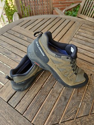 Zapatillas Salomon X-Ward GTX