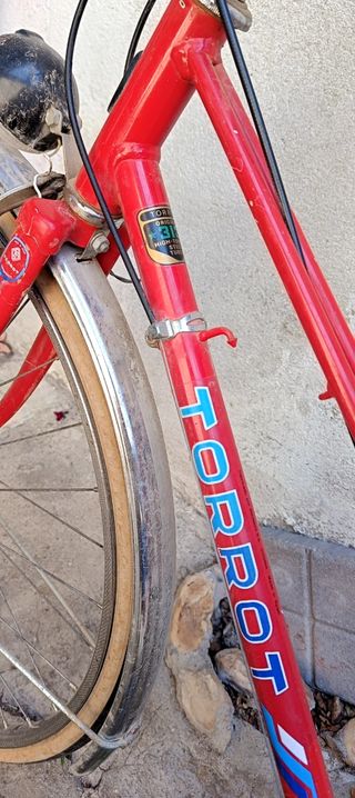 Bicicleta Torrot paseo 