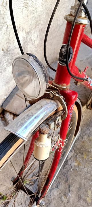 Bicicleta Torrot paseo 
