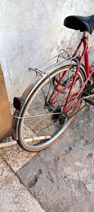 Bicicleta Torrot paseo 