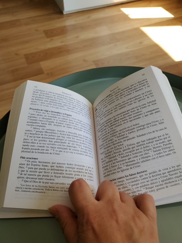 Nuevo Testamento - 7b* Edicion (Spanish Edition)