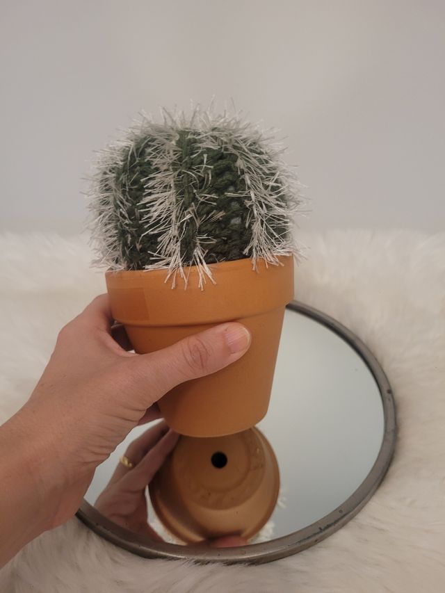 Cactus crochet - Verde y blanco