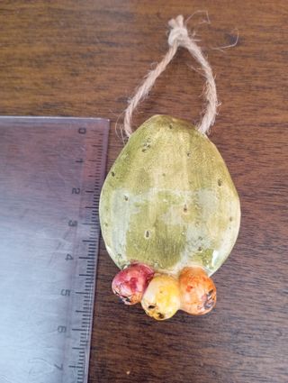 Set 4 magneti ceramica cactus