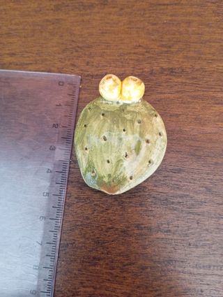 Set 4 magneti ceramica cactus