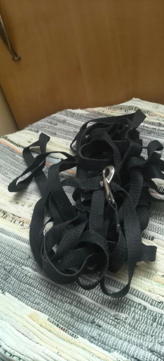 Correa perro 10m - Negra