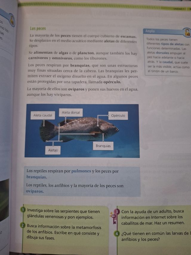 Proyecto: La leyenda del Legado. Ciencias de la...