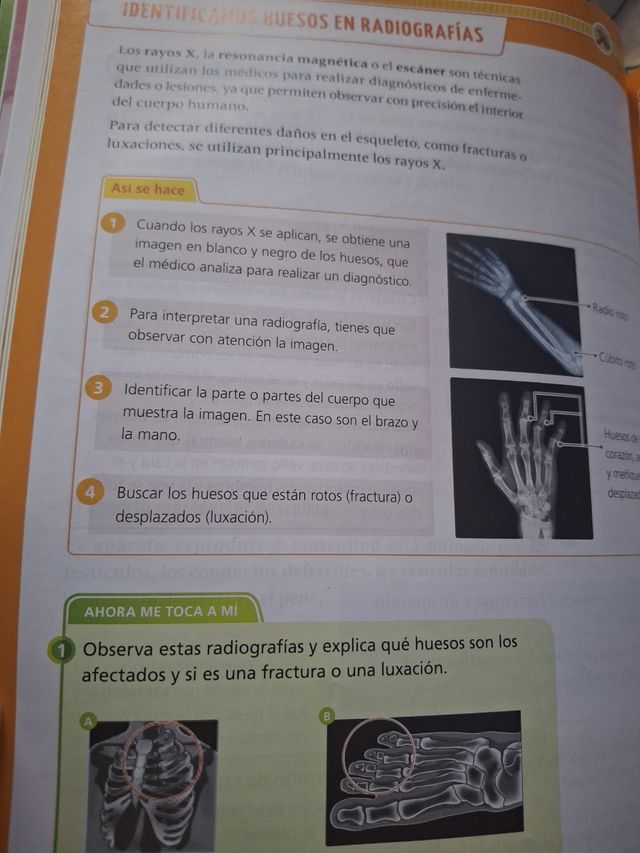 Proyecto: La leyenda del Legado. Ciencias de la...