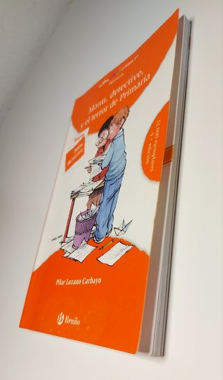 Lote de libros para niños a partir de 7/8 años