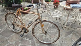 Bicicletta Regina vintage