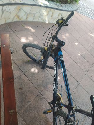 Bicicleta Megamo Open Replica