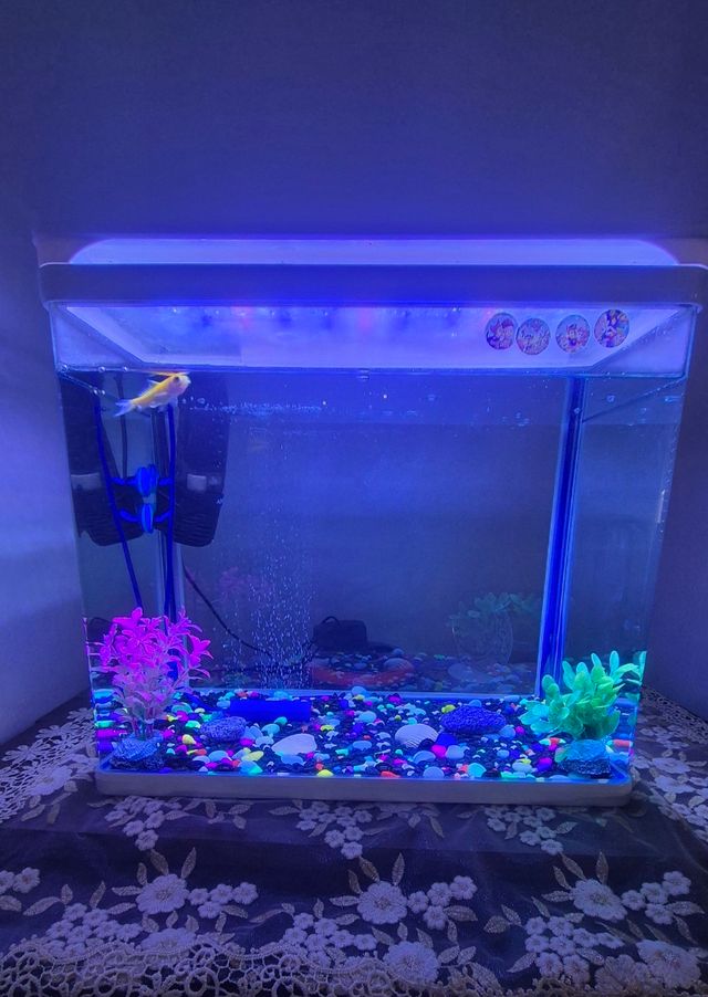 Acuario con luz LED