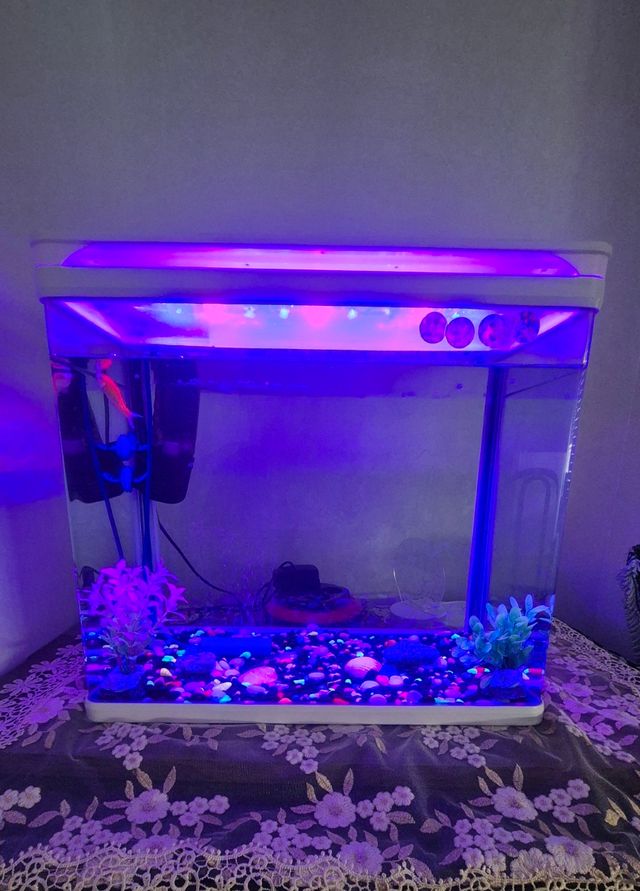 Acuario con luz LED
