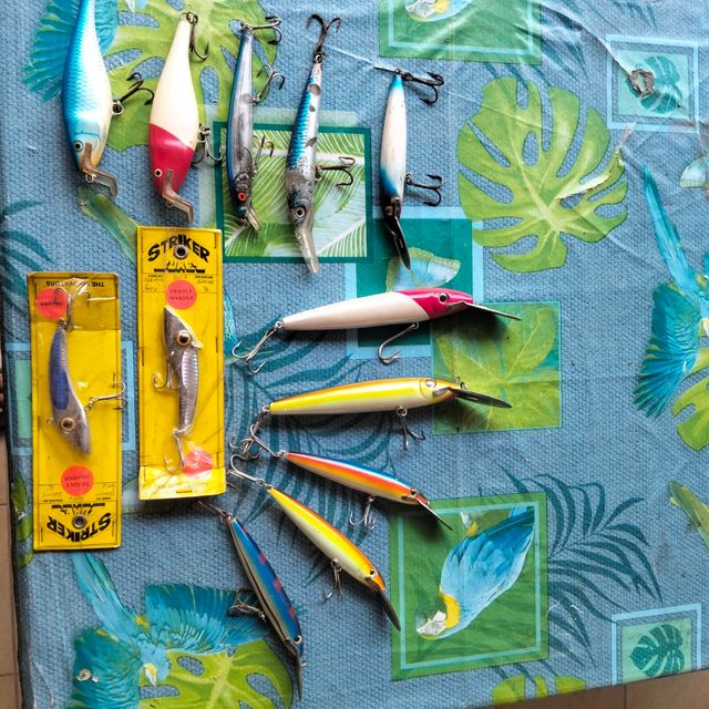 Esche da traina artificiali rapala striker 20/18cm