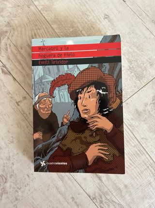 Marcabrú y la hoguera de hielo - Teixidor