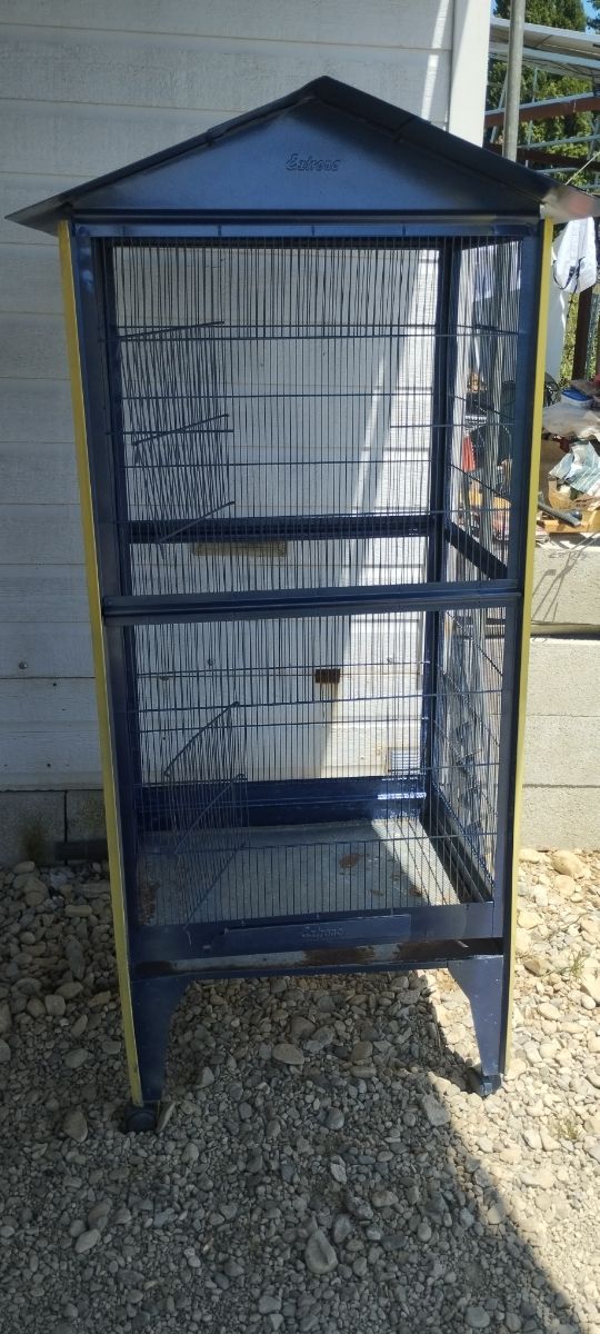 Jaula pajaros grande azul