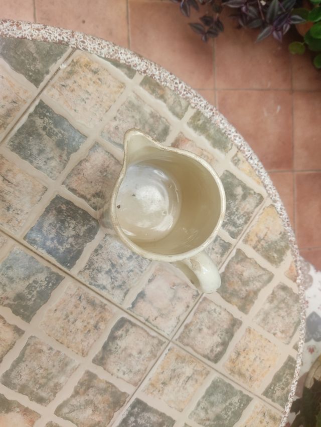 Jarra antigua con flores