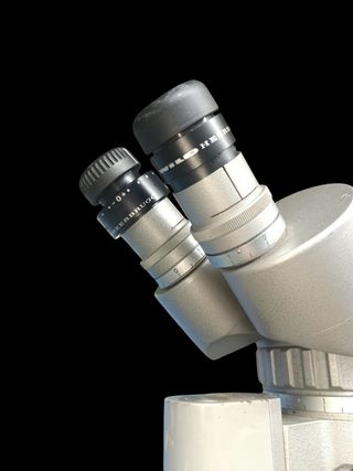 Microscopio stereo Olympus Tokyo