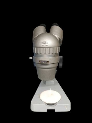 Microscopio stereo Olympus Tokyo