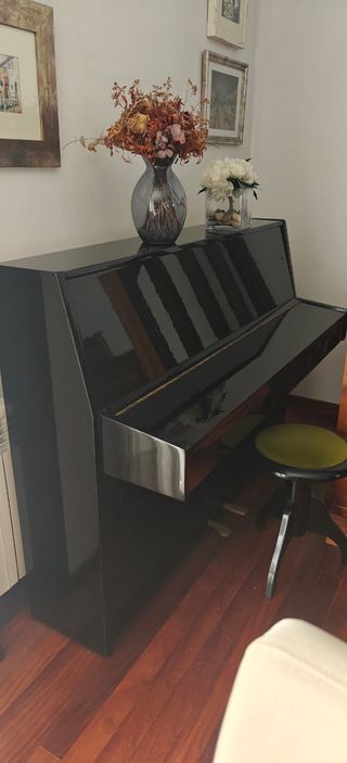 Piano Young Chang Negro Brillante
