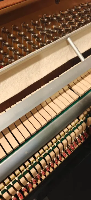 Piano Young Chang Negro Brillante