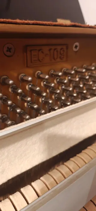 Piano Young Chang Negro Brillante