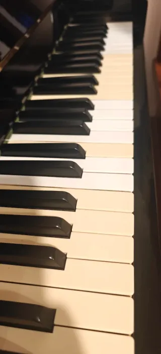 Piano Young Chang Negro Brillante