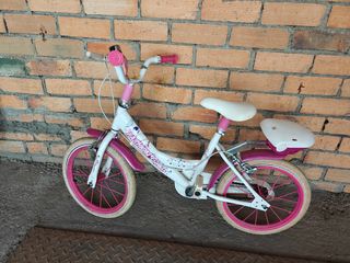 Bicicleta niña 14" Fashion Girl