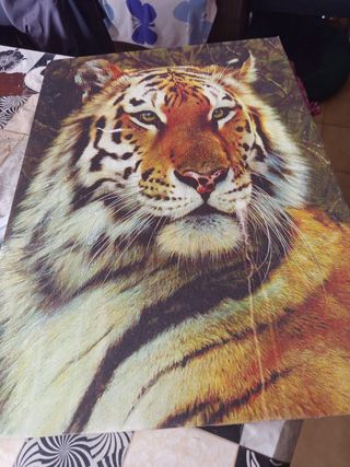 Cuadro tigre