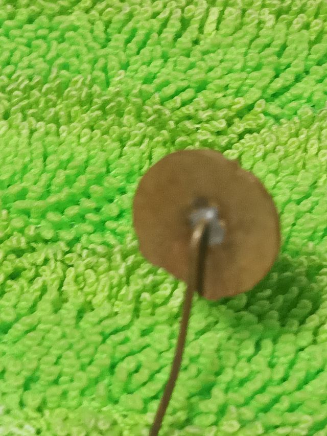 Pin Budapest de Belgrado