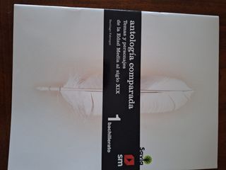 Lengua castellana y literatura. 1 Bachillerato....