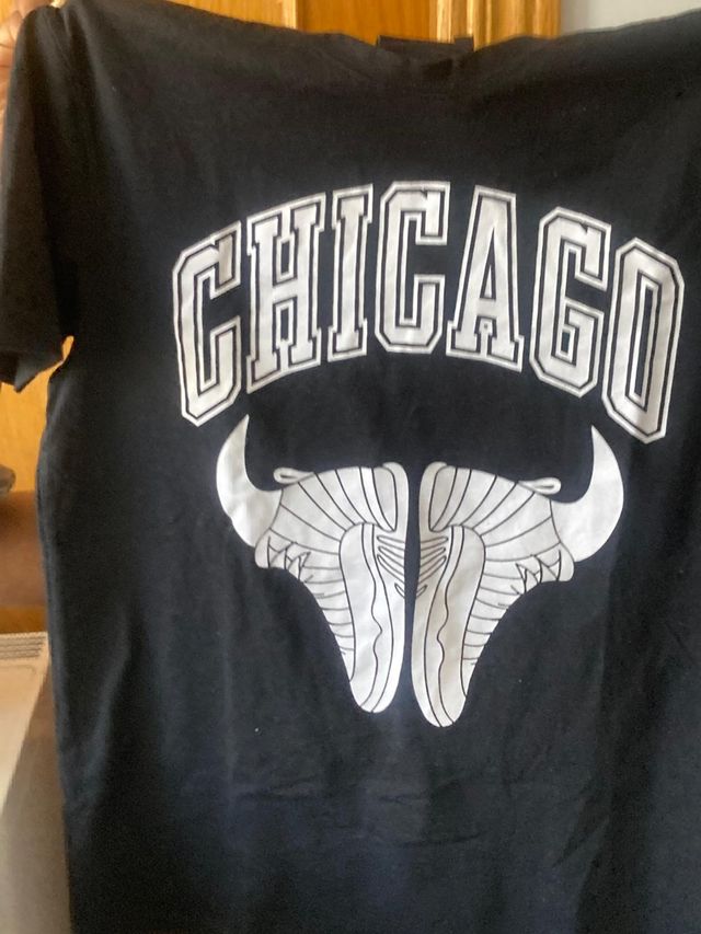 Camiseta Chicago Bulls