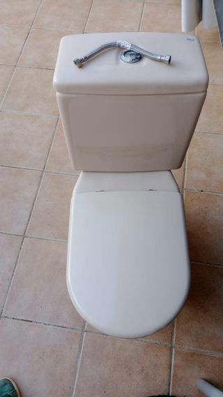 Inodoro Roca beige