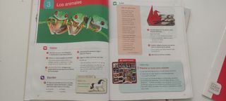 LENGUA 5 PRIMARIA SABER HACER