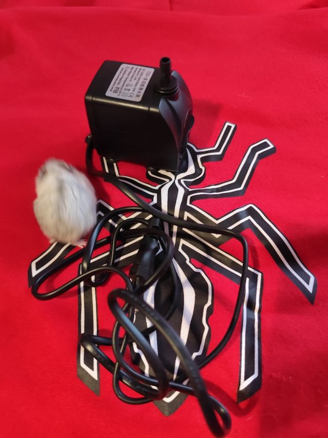 Mini bomba acuario 10W