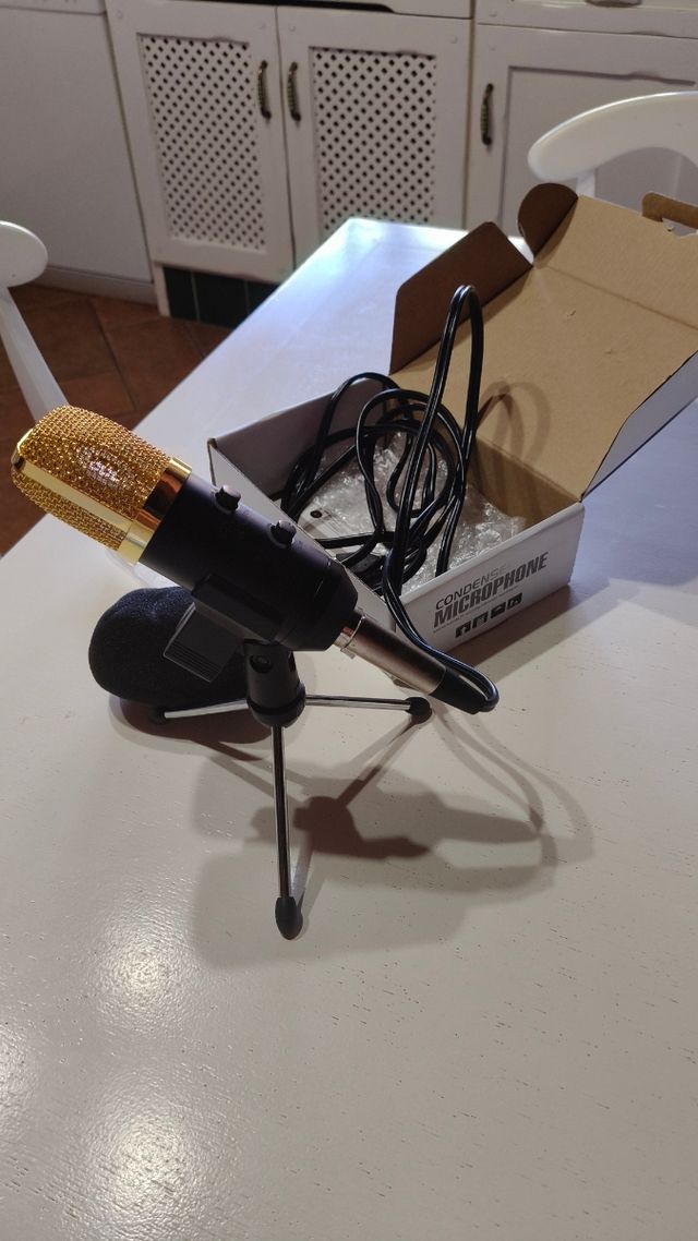 Micrófono Condensador para PC