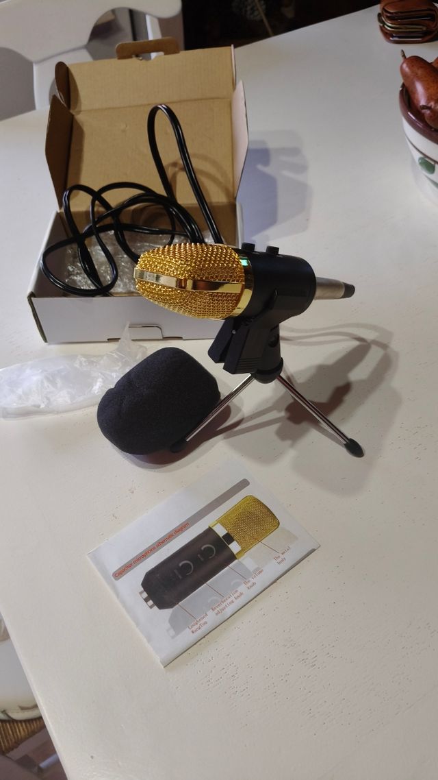 Micrófono Condensador para PC