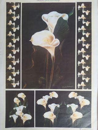 Láminas decoupage vintage y de animales 