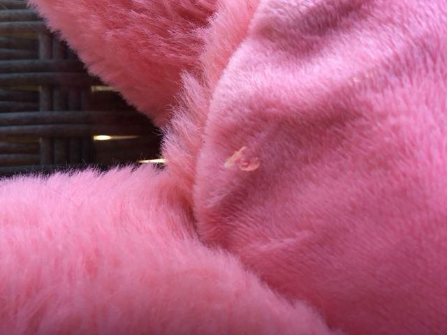 Flamenco peluche rosa