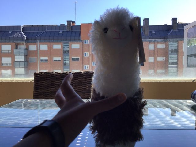 Llama peluche Aguila de Oro Toys