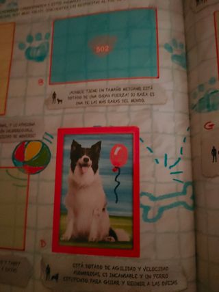 Álbum Amici Cucciolotti Animalitos 2017