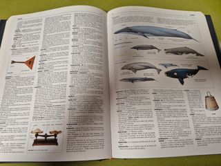 Diccionario general ilustrado lengua española